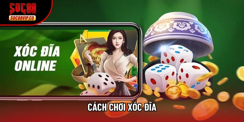 Cách Chơi Xóc Đĩa Tại - Chiến Thuật Chinh Phục Live Casino