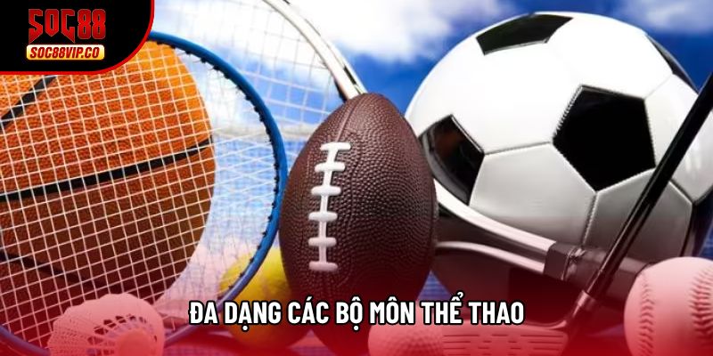 Đa dạng các bộ môn thể thao
