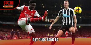 Đặt Cược Bóng Đá Tại Soc88 - Đỉnh Cao Cá Cược Thể Thao