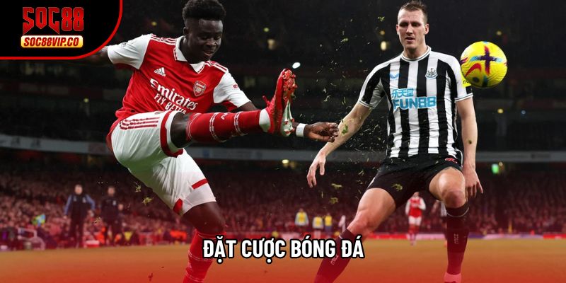 Đặt Cược Bóng Đá Tại Soc88 - Đỉnh Cao Cá Cược Thể Thao