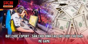 Đặt Cược Esport - Sân Chơi Đỉnh Cao Cho Cược Thủ Đam Mê Game