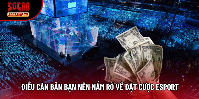 Điều căn bản bạn nên nắm rõ về đặt cược esport Điều căn bản bạn nên nắm rõ về đặt cược esport