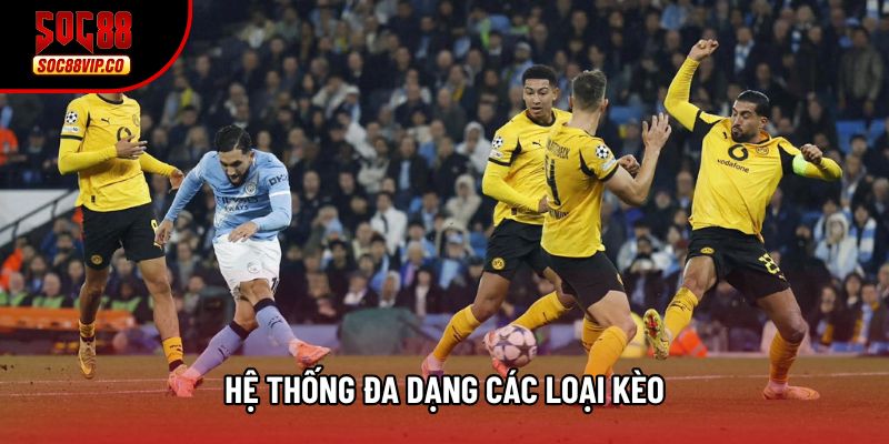 Hệ thống đa dạng các loại kèo