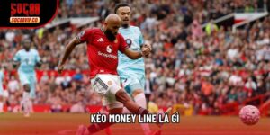 Kèo Money Line Là Gì? Nghệ Thuật Chốt Kèo Đỉnh Cao 