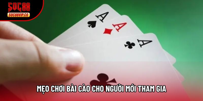 Mẹo chơi bài Cào cho người mới tham gia Mẹo chơi bài Cào cho người mới tham gia