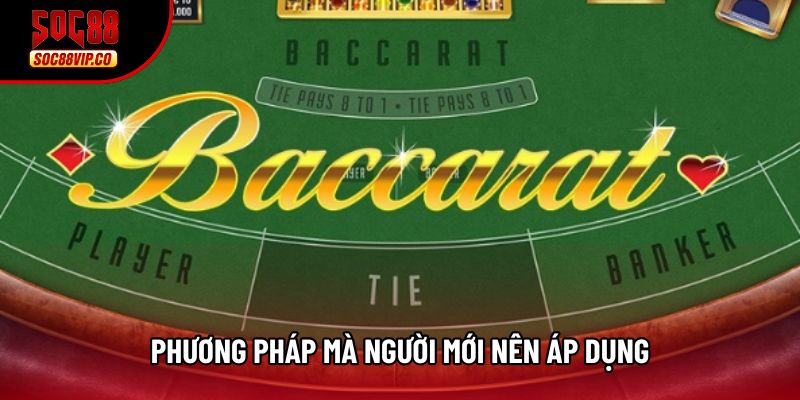 Phương pháp mà người mới nên áp dụng