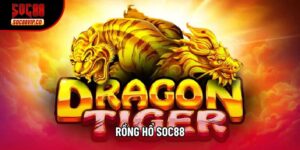 Rồng Hổ Soc88 - Sảnh Live Casino Đẳng Cấp Nhất 2026