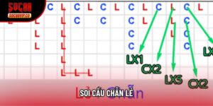 Soi Cầu Chẵn Lẻ - Bí Quyết Để Chiến Thắng Live Casino