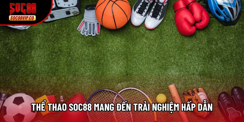 Thể thao Soc88 mang đến trải nghiệm hấp dẫn